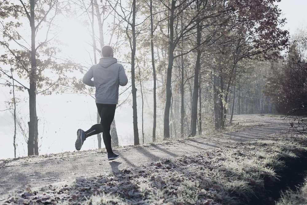 Coureur sur un sentier forestier à l'automne